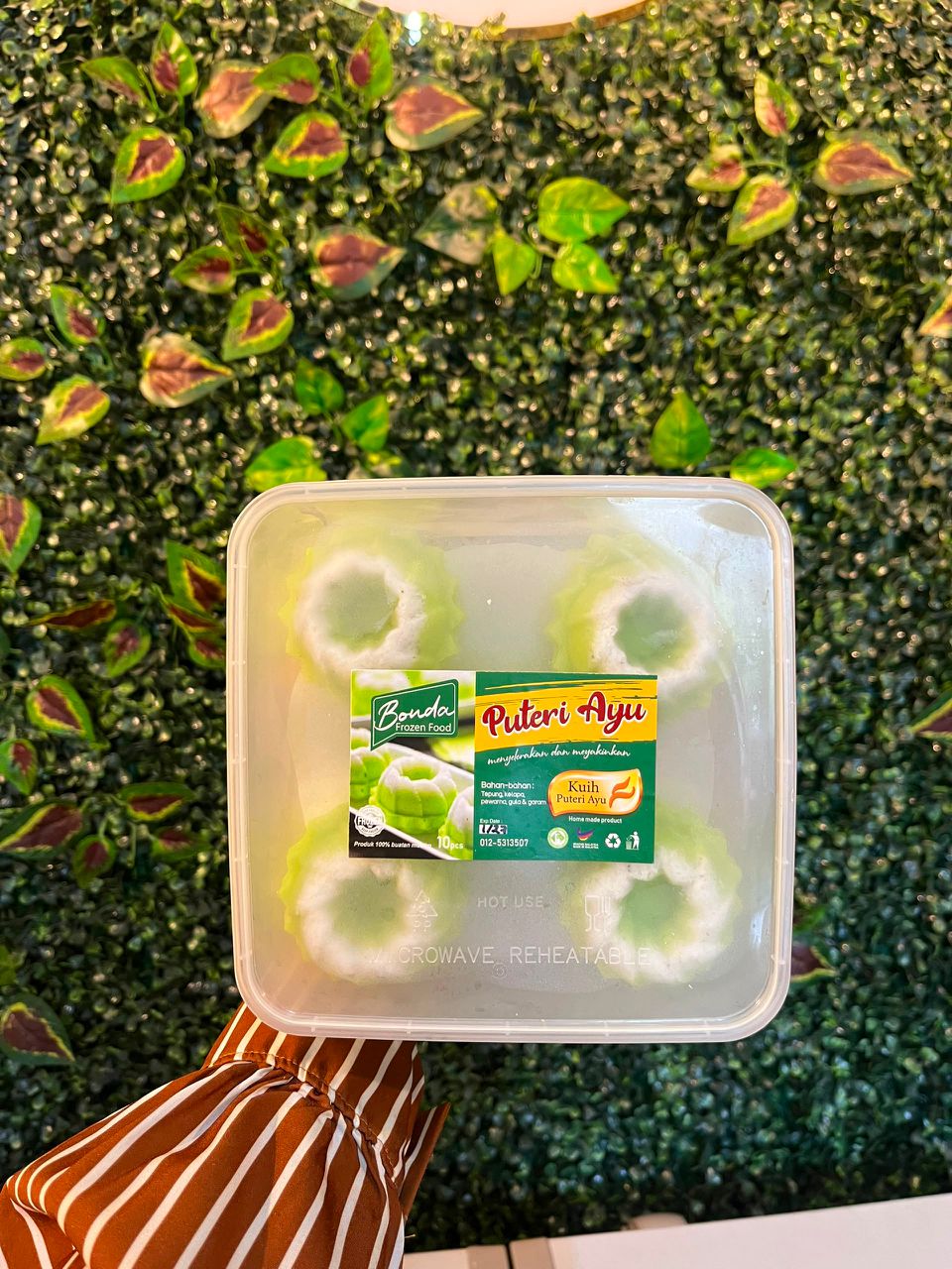 Puteri Ayu - Frozen